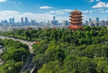 mk体育全站-MK体育全站，构建综合平台，引领体育娱乐浪潮