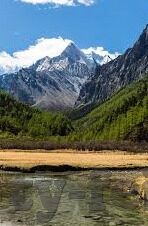 足球比分有几场-探秘足球比分，一场赛事背后的多场数字博弈