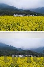 足球比分预测技巧-从玄学到科学，足球比分预测的5大核心技巧与实战指南